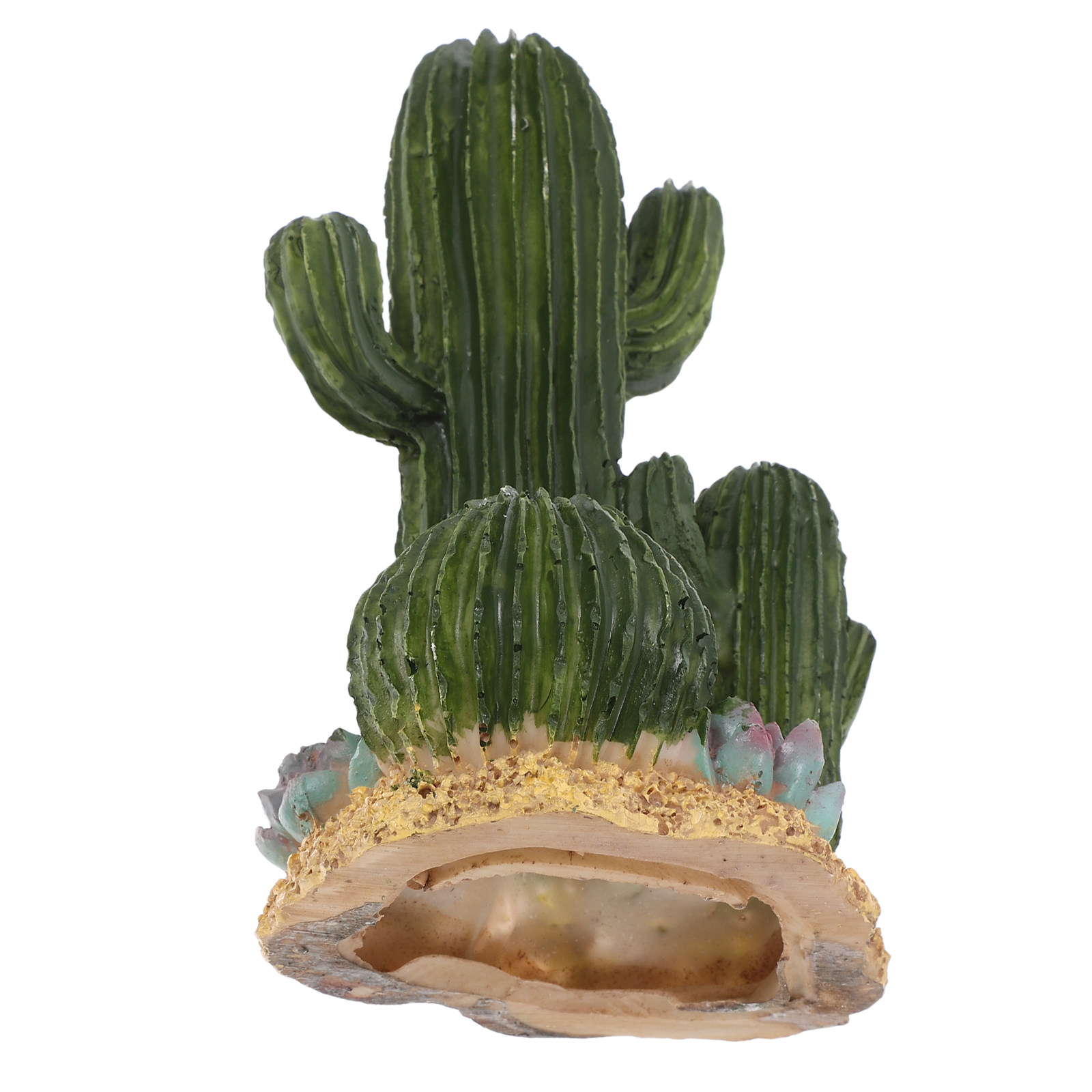 Terrarium Moss Art - Planta de Cacto Artificial Grande, Decoração