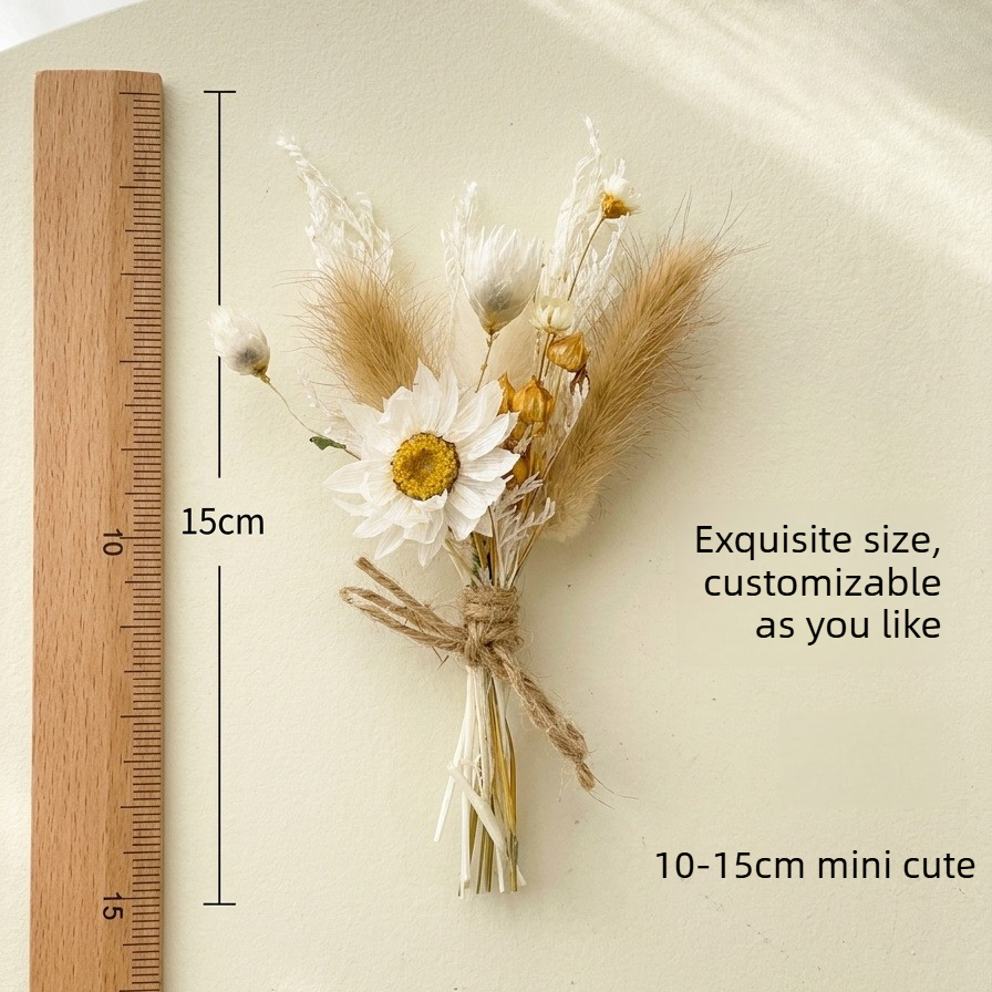 Mini Buquê de Flores Secas Nat - Dried Flower Bulk avaliação e preço